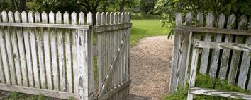 However, i do love how great it. Fence Paint Garden Fence Diy Tips Inspirational Ideas
