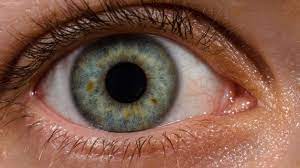 Acestea sunt doar superstiții, de cele mai multe ori aceste spasme oculare (denumite și miokimii) apar. Ce InseamnÄ DacÄ Å£i Se Zbate Ochiul Drept