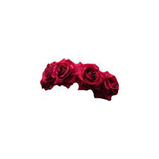 Transparent Flower Crowns Transparent Flowers Pink Flower Crown Flower Crown