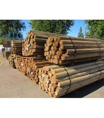 4 Treated Blunt Wood Post 12 Ft Wilco Farm Stores Wood Post Termite Control Termites
