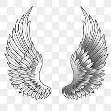 Wing Png Images Vector And Psd Files Free Download On Pngtree Wings Drawing Simple Line Drawings Typography Design Inspiration