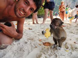 We did not find results for: Monkey Monkey Beach Koh Phi Phi Thailand