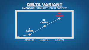 It was initially identified in india in december 2020. 48 Houston Methodist Patients Infected With Covid Delta Variant Since March Khou Com