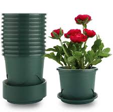 We did not find results for: Buy Mohena 12pcs 16cm Plastic Planters With Saucers Root Control Nursery Seedling Planter Garden Flower Pot Container For Indoor Outdoor Bonsai Plants Aloe Herb Online In Turkey B08bx4h3c3