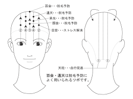 マッサージの習慣が抜け毛を予防し薄毛を改善します 抜け毛 女性 薄毛 髪 ケア