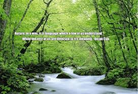 Nature Quotes And Poems. QuotesGram via Relatably.com