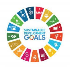The overall score measures a country's total progress towards achieving all 17 sdgs. Sustainable Development Goals Sdgs Migrationsdatenportal