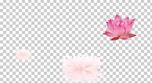 Download lotus flower png image with transparent background. Petal Pattern Png Clipart Bud Flower Golden Lotus Line Lotus Free Png Download