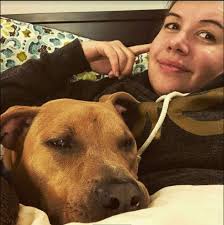 Ohio shelter's 'Holiday Sleepover' program helps local dogs find forever  homes