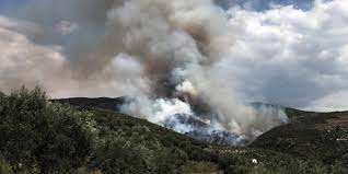 Aug 20, 2019 · οριοθετήθηκε η φωτιά που ξέσπασε νωρίτερα σήμερα, τρίτη, στην περιοχή κακή βίγλα στην σαλαμίνα. Mainetai H Fwtia Sth Salamina Apokatasta8hke H Kykloforia Ellada Iefimerida Gr