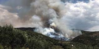 Σε εξέλιξη βρίσκεται πυρκαγιά που ξέσπασε πριν από λίγο. Mainetai H Fwtia Sth Salamina Apokatasta8hke H Kykloforia Ellada Iefimerida Gr