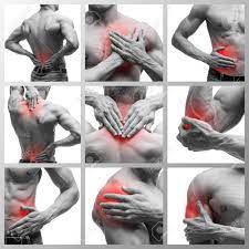 Most important biology bits in telugu/human body in telugu |general awareness bits for all govt jobs. Pain In Different Man S Body Parts Chronic Diseases Of The Male Body Collage Of Several Photos Isolated On White Background Painful Area Highlighted In Red Stock Photo Picture And Royalty Free Image
