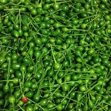 Also while very popular in thai and chinese dishes, japones chiles are native to mexico from jalisco and central valley of mexico; Chile Japones Mi Planta De Chile Facebook
