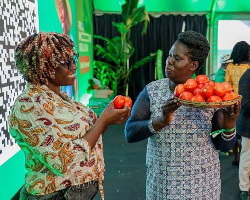 Kakamega farmers, what a day! From farm stories and real-life experiences  to expert insights, new ideas and a few surprises along the way, Safire  Connect was packed with conversations that matter.