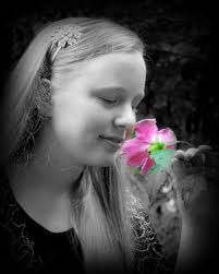 Ritt's End Photography