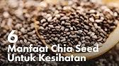 Isi 1 sdm muncung chia seed di segelas air, aduk perlahan sampai tercampur rata tidak menggumpal,. Kebaikan Khasiat Chia Seed Youtube