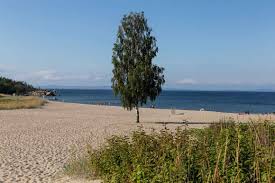 In 1762 the county was divided into two parts. Norrvikssand Trippa