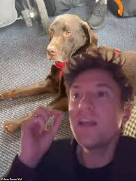 Radio 1 host Greg James is left mortified after dog Barney wees