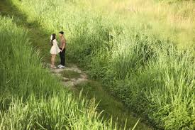 Hazel Dizon and Raymark Idos's Wedding Website