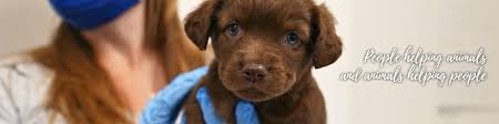 Overall, they pay well considering they are a. Helen Woodward Animal Center é¢†è‹±