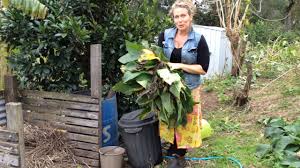 Put a lid on it to contain the odor. Film 3 How To Make Comfrey Tea With Morag Gamble 4 52mins Our Permaculture Life