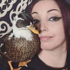 Any duckling farms with earlier availability in Maine?