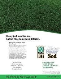 Rtf® is the only tall fescue with true rhizomes. Rtf Grass Seed