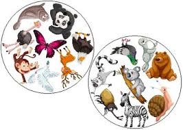 Did cleopatra know how to play cards? Animal Spot It Dobble Card Game Animals And A Few Insects 57 Cards