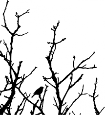 Bird On Tree Drawing Bird In Tree Silhouette Bird Tree Bird Drawings Tree Silhouette