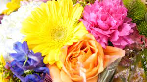 Check spelling or type a new query. Valentine S Day Flowers Deals On Roses Abound At Grocery Stores