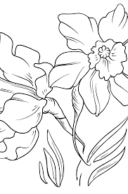 Click the picture below to make it larger, then print out your favorite flowers coloring page! Flower Coloring Page Daffodils
