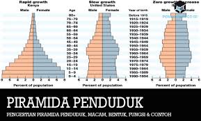 We did not find results for: Pengertian Piramida Penduduk Macam Bentuk Fungsi Contoh