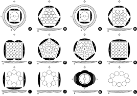 Image result for Juglandaceae