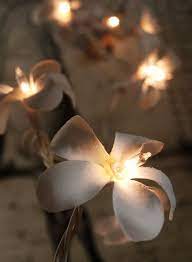 Pin On Flower Ideas