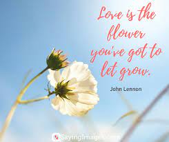 The beauty of a … Love Quotes With Flowers Love Quotes 2019