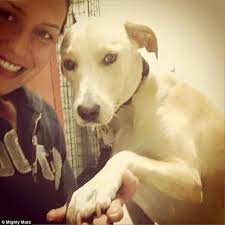 Saddest dog in the world' finds a loving new family