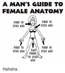 Welcome to innerbody.com, a free educational resource for learning about human anatomy and physiology. A Man S Guide To Female Anatomy Place To Stick Dick Lnce To Stick Dick Place To Place To Places To Sti Dick Hahaha Dank Meme On Me Me