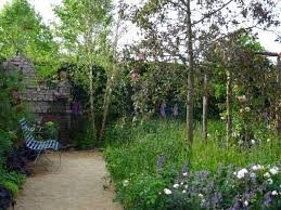 I'm lucky to own a very small square of this planet, i want to make sure that i'm doing my bit to make to make it a home for everything. Wildflower Meadow Turf Wildflower Turf Meadow Turf Green Roof Turf Roof Meadow Turf
