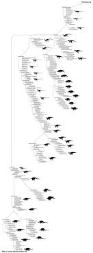 Dinosaur Classifications Chart Dinosaur Pictures Dinosaur Dinosaur Background