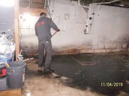 Wash any furniture and pillow covers in your basement on your laundry's hottest setting with a powerful detergent to kill anything that might be growing on them. Mold Removal And Flood Clean Up Northwest Ohio Southeast Michigan