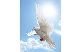 Nathaniel Darby Obituary (2021)