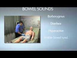 Hal S3201 Part 9 Bowel Sounds