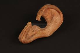 Billy the kid displays a wanted poster that describes billy as 125 lbs. The Prop Gallery Billy The Kid Emilio Estevez Prosthetic Ear