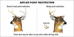 Deer Seasons Bag Limits Maryland Hunting Seasons
