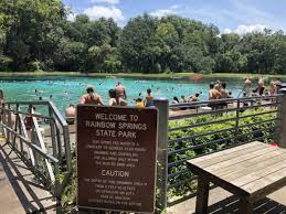 Moreover, judging by the amount of people waiting in parked cars outside the entrance, it had been closed for some time. Rainbow Springs Florida Tubing How To Do It Right Shaggy Muffins