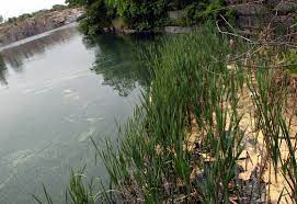 Maybe you would like to learn more about one of these? Granite Co Revival Bid Triggers Rockport Land Questions Local News Gloucestertimes Com