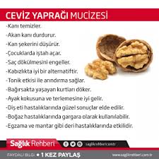 Faydali Bilgiler Saglikli Olmak Saglik Bilgi