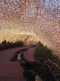 Fairy Lights Flickr Photo Sharing Lights Dream Wedding Beautiful Places