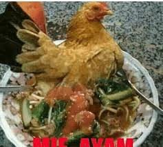 Wow 30 Gambar Lucu Tentang Makan Gambar Lucu Makan Ayam Hidup 50 Kata Kata Tentang Makanan Yang Lucu Namun Bermakna 132 Best Die Gambar Lucu Lucu Meme Lucu