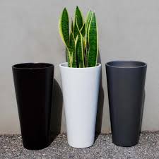 Maybe you would like to learn more about one of these? Root And Stock Sonoma Tall Cylinder Planter White
